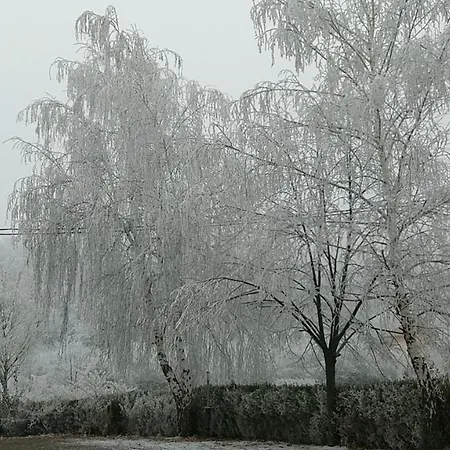 Lazarev Apartmanhotel 3*